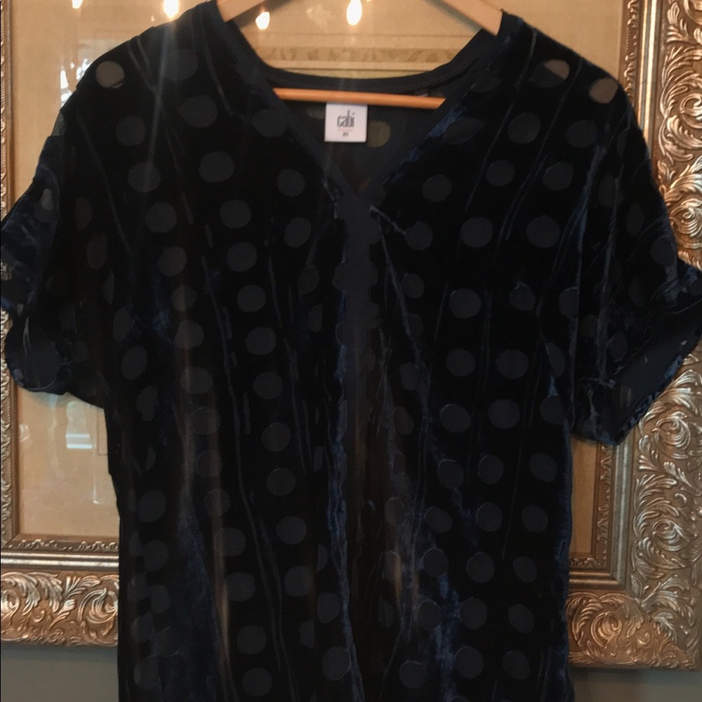Cabi crushed velvet top